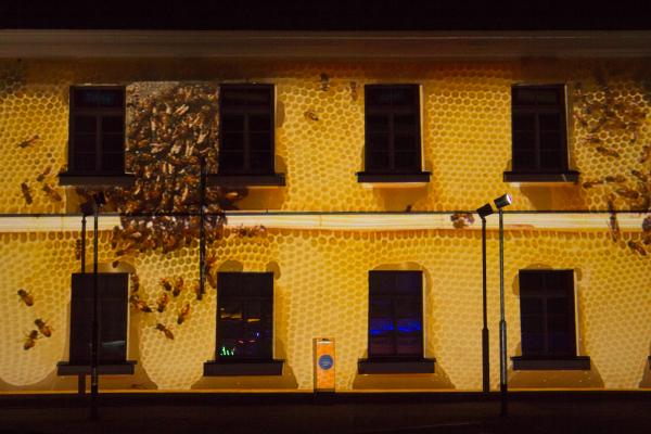 Human Beeing facade close up with bees