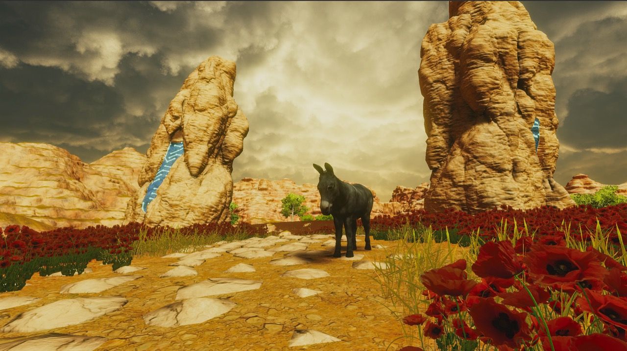 Donkey in a hot and rocky valley surrounded by poppy flowers.