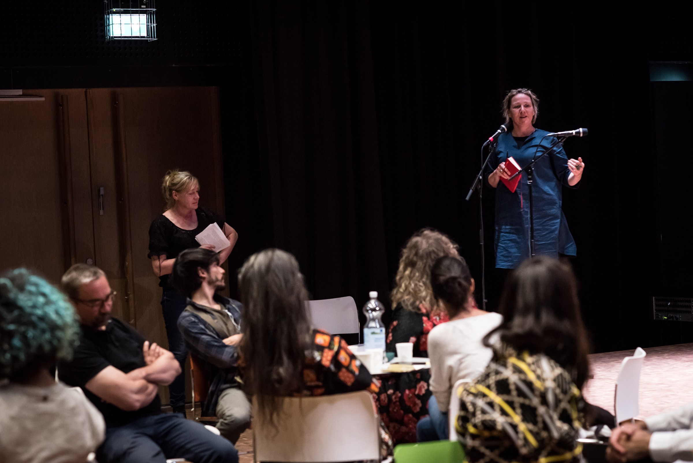 Shades of Agency facilitation Susanne Bosch