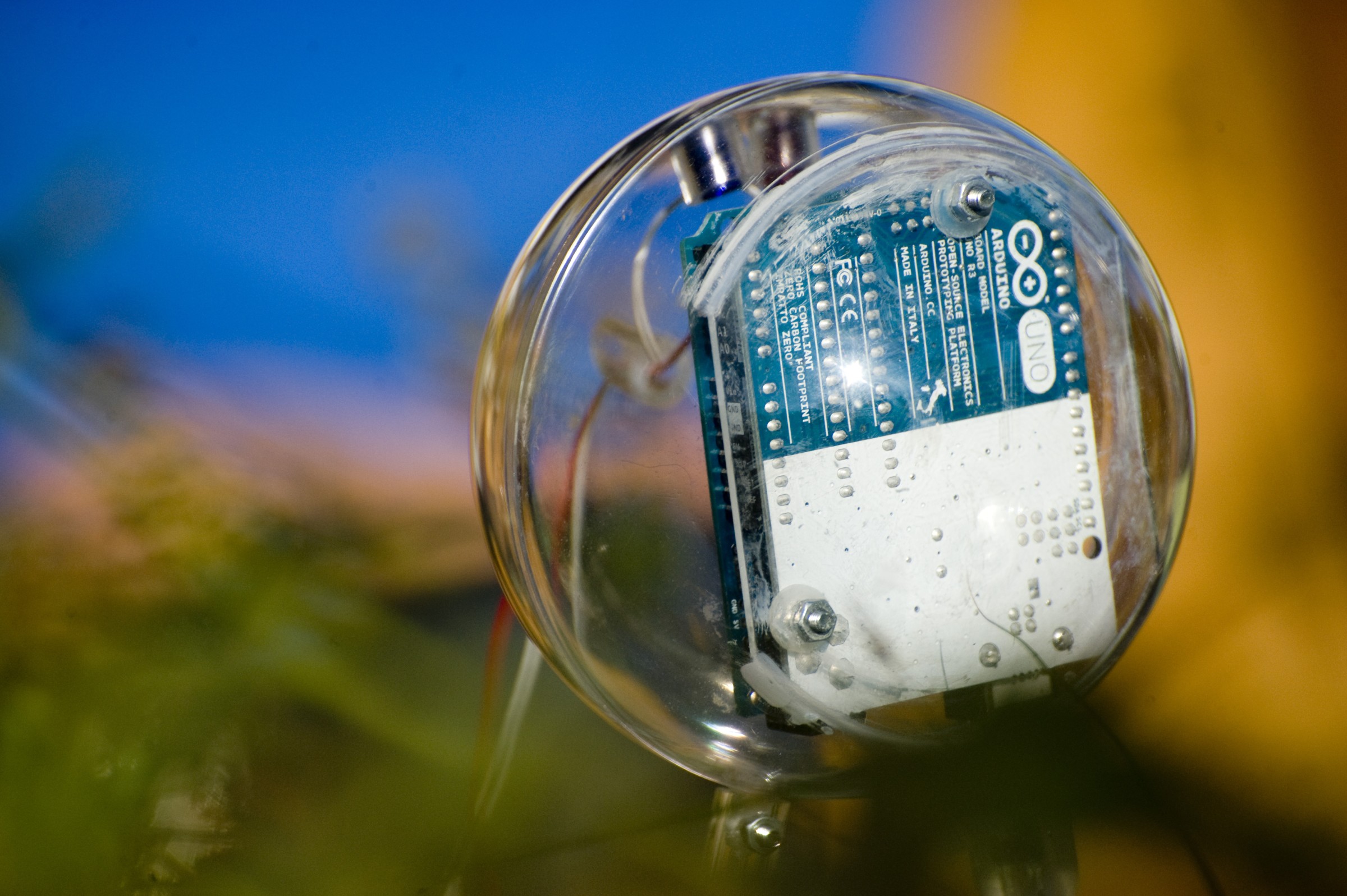 Organic Cinema plant sensor